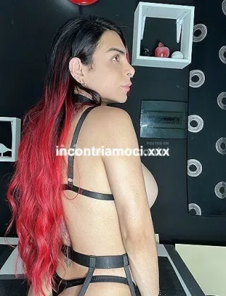 33 - Janna Trans Perugia - 3284214700