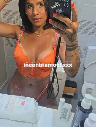 15 - Nanda Xl Grosso Trans Torino - 3922856573