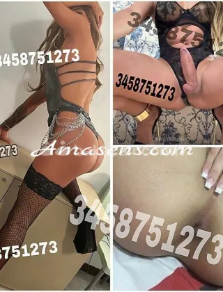 2 - Sofy Trans Lucca - 3458751273