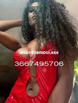 20 - Diana Trans Roma - 3667495706