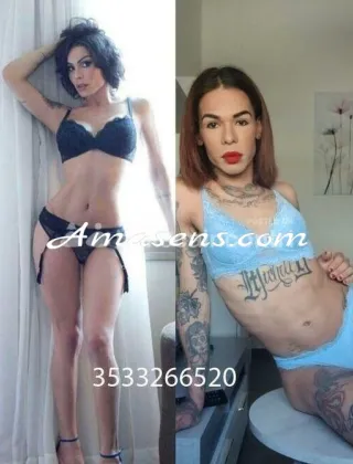 11 - Dayse Trans Torino - 3533266520