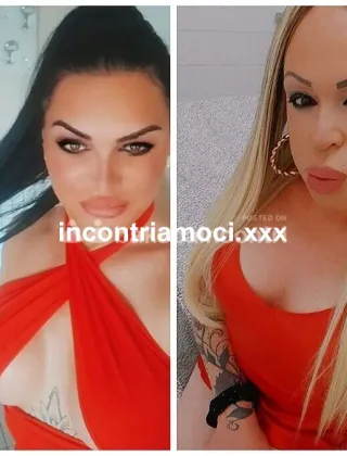 4 - Claudia Trans Latina - 3341001359