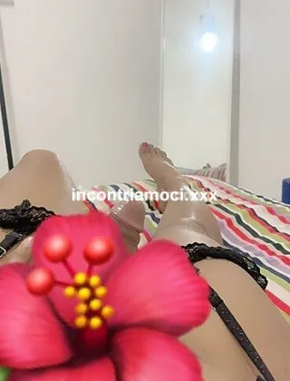 26 - Mia Khalifa Trans Roma - 3664410728