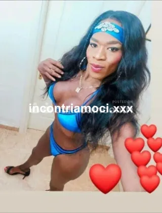 2 - Vera Trans Piacenza - 3476493634