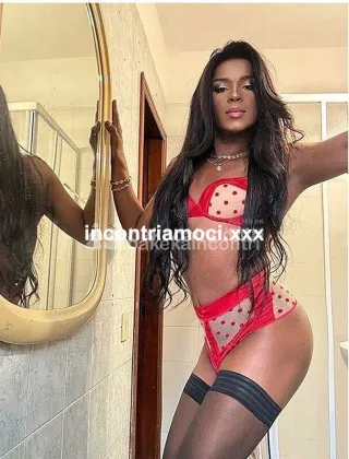 35 - Cloe Trans Lucca - 3509692028