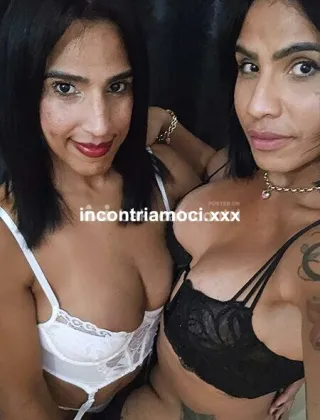2 - Xl/Xxl Trans Torino - 3933657271