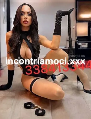26 - Estella Trans Belluno - 3384133447