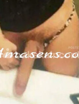 19 - Sharon Trans Caserta - 3508017957