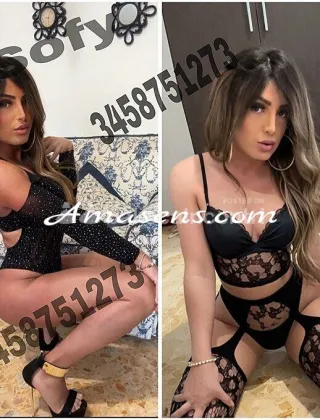 3 - Sofy Trans Lucca - 3458751273