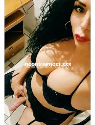 15 - New Trans Modena - 3894785962