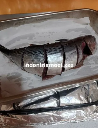 3332735370 - Palis 52 Coppie Trapani