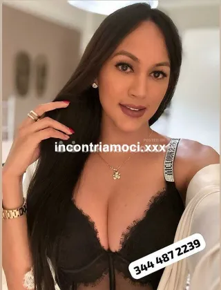 22 - Karen Trans Modena - 3444872239