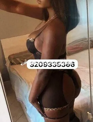 6 - Paloma Trans Caserta - 3209335366