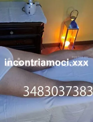 3483037383 - Perla 35 Trans Bologna
