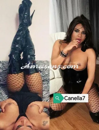 15 - T????????22Cm?? Trans Roma - 3520760870