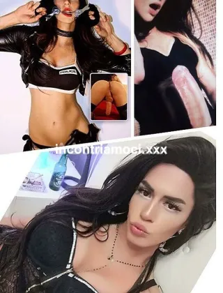 7 - Maya Trans Roma - 3892893753