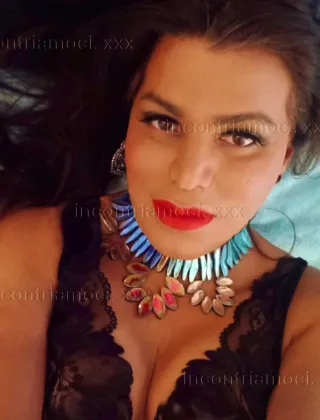 29 - Anita Trans Pisa - 3711370391