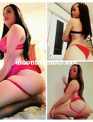 19 - Elina Trans Bologna - 3275913585