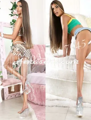 4 - Nona Trans Roma - 3926647645