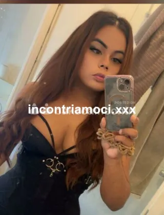 3 - Lia Trans Torino - 3284484815