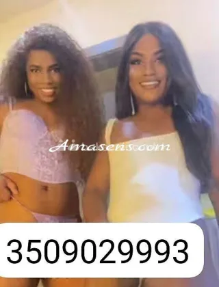 5 - Brenda Trans Perugia - 3509029993