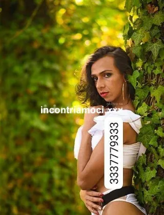 27 - Top Trans Trans Valle d'aosta - 3337779333