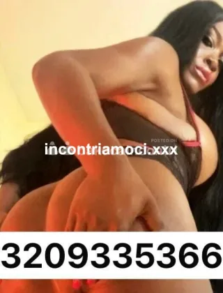1 - Paloma Trans Caserta - 3209335366