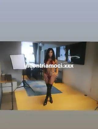 29 - Estrella Trans Torino - 3297213474