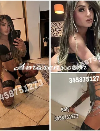 5 - Sofy Trans Lucca - 3458751273