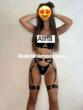 3533997008 - Alina 25 Escort Lucca