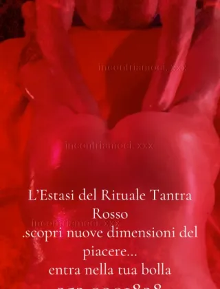 22 - Wolf& Lady Moon Coppie Modena - 3520901828