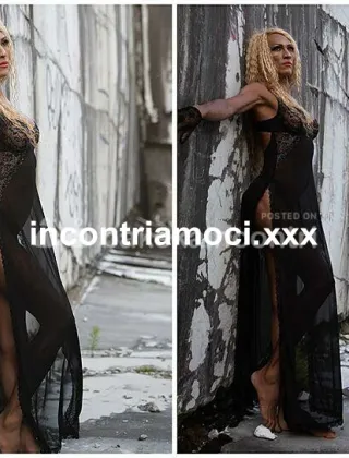 3295756579 - Anitta 28 Trans Pisa