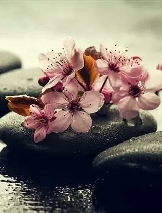 21 - Nessuno Massaggi Catania - 3895740551
