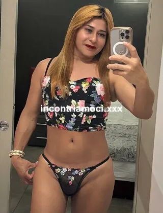27 - Loryn Trans Pisa - 3509144414