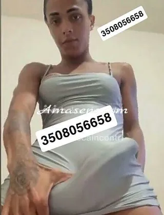 15 - Penelope Trans Bergamo - 3508056658