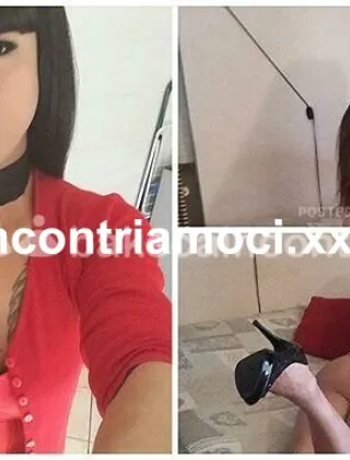 7 - Roberta Trans Novara - 3701662301
