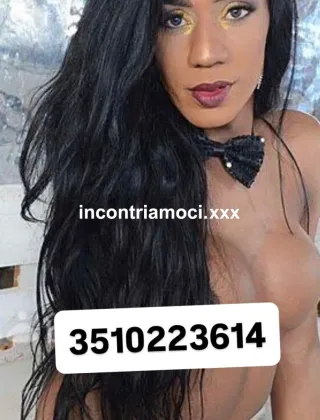 22 - Paloma Trans Brescia - 3510223614