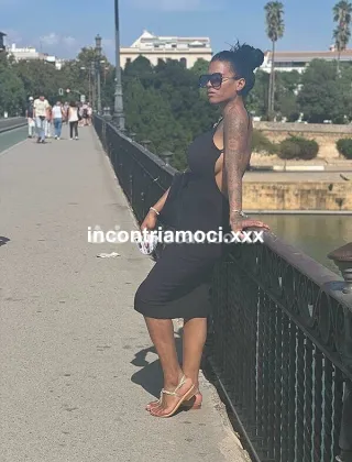 21 - Vania Trans Cuba Xxl Trans Cremona - 3401348255