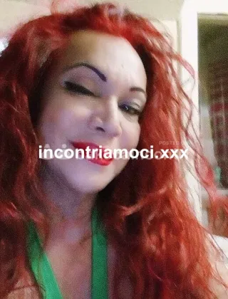 10 - Sharon Trans Roma - 3533520968