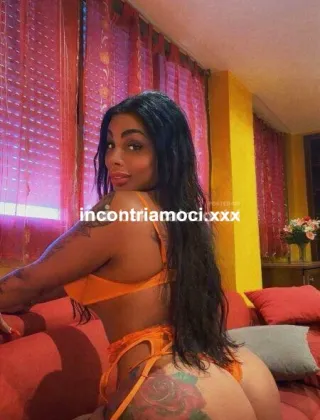 14 - Silvia Trans Brescia - 3274744893