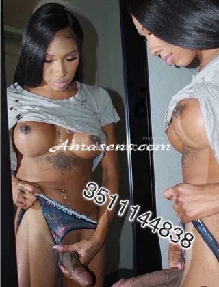 9 - Yeni Trans Bologna - 3511144838