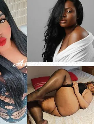18 - Diana Escort Bologna - 3533606375