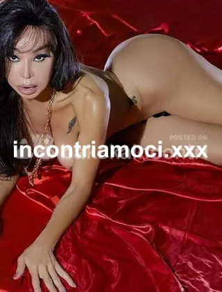 31 - Luciana Trans Bergamo - 3397674731