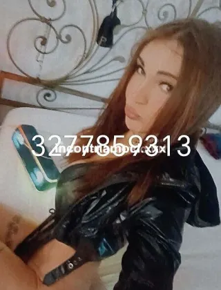 12 - Bona Trans Trans Cuneo - 3277859313