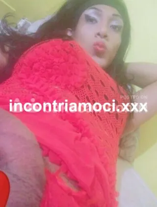 6 - Maia Trans Firenze - 3508773432