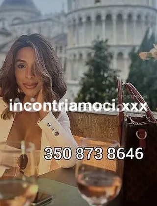 24 - Maila Trans Benevento - 3508738646