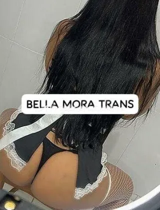25 - Carla Trans Macerata - 3933596621
