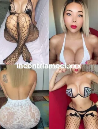 11 - Katty Trans Bologna - 3894566774