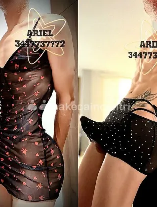 10 - Ariel Femboy Trans Roma - 3447737772