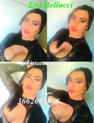 2 - Eva Trans Catanzaro - 3662055808
